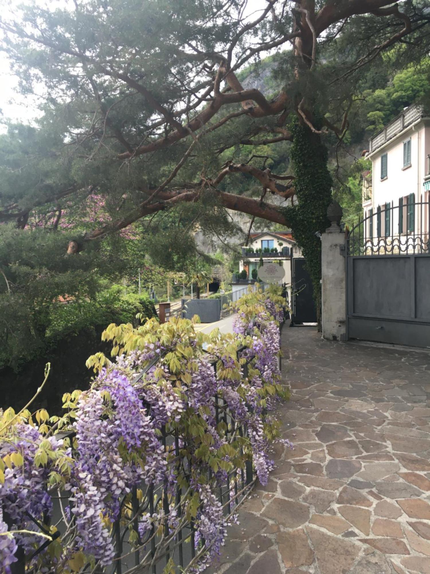 Villa Βαρένα Εξωτερικό φωτογραφία